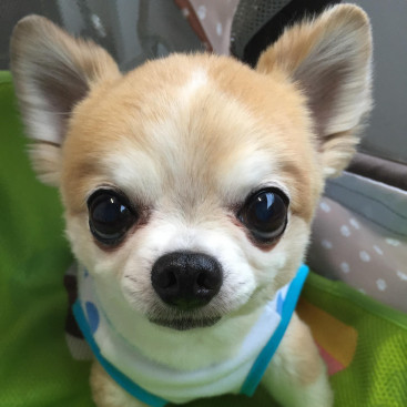 おはようございます。むーちゃんだよ🍀🌈🍀🌈🍀🌈🍀