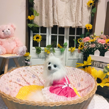 ドッグカフェのフォトブースでパチリ💕