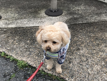 地面がぬれてると歩けない😂
もう、、わがままだな、、🤷‍♀️笑