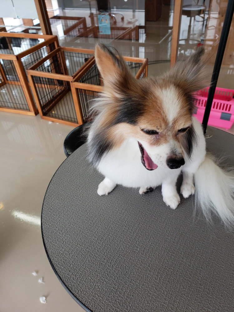 もぉ飽きちゃったーあくびも出ちゃうよね(笑)