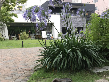 歩くのは嫌いだけど、公園で人間モニタリングが大好き❤