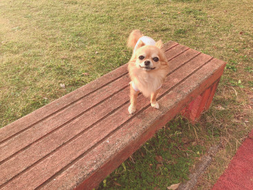 にっこりモコ🐶☺️💖
この写真すきだなぁ☺️💕