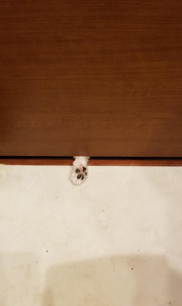 衝撃の一コマ。