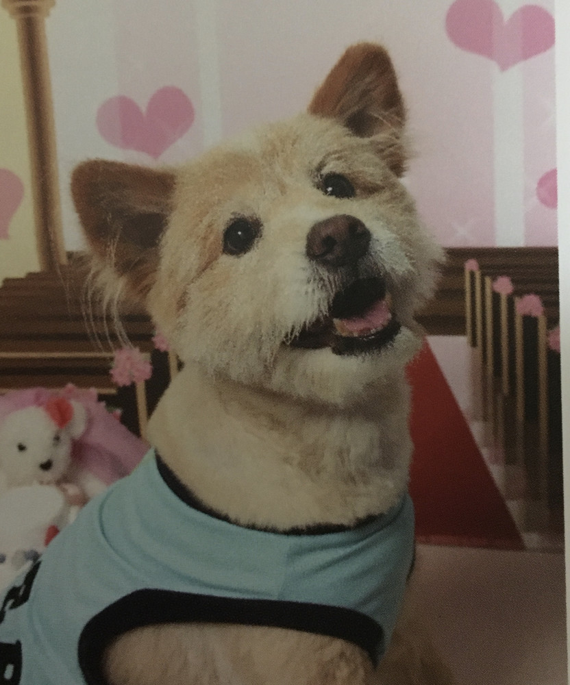 いつも、ラッキー🐶の周りは
ついてることが一杯なのです❣️❣️