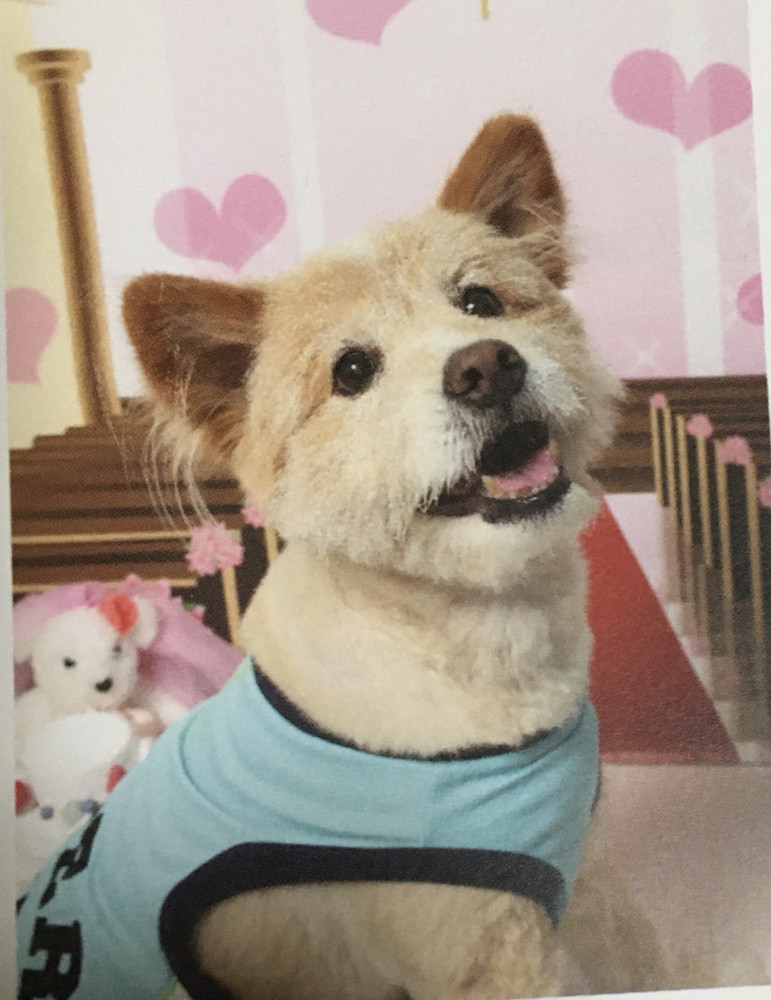 僕、ラッキー🐶
ついてる、ツイテル、男の子❣️