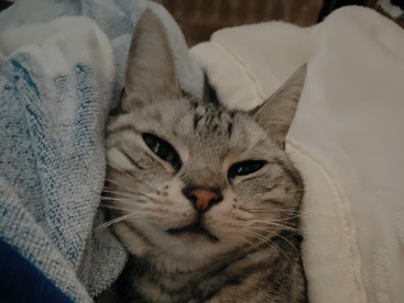 朝起きたら隣にいる幸せ♡