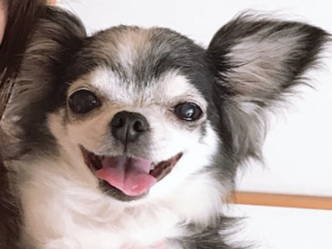 お姉ちゃん、レモン❤️大好きだょ💕💕