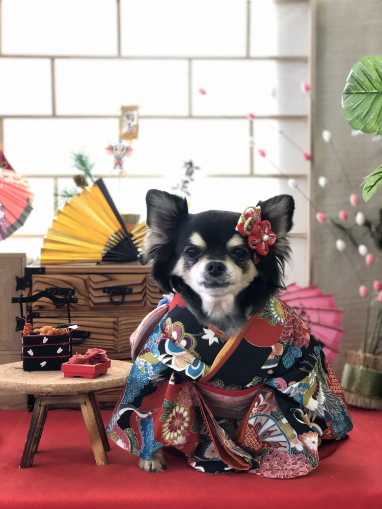 今年も1年宜しくお願いしますします