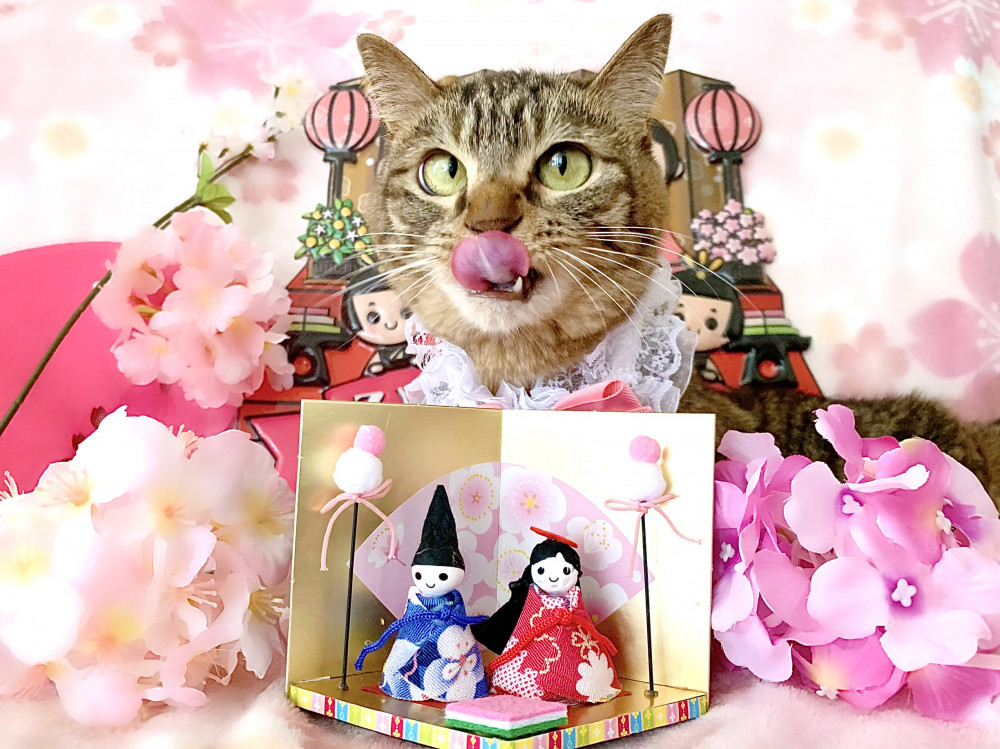 ひな祭り🌸✴🎎✴🌸