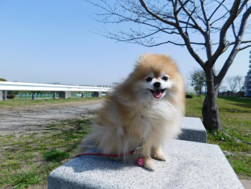 春の風は気持ち良いなぁ🍃🍃