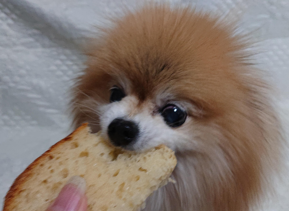 みゆは
焼きたての🍞パンが大好き💓♥️❤️