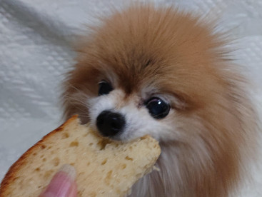 みゆは
焼きたての🍞パンが大好き💓♥️❤️