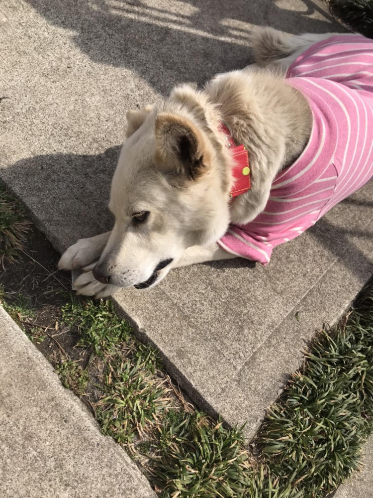 ボカポカ陽気に、うっとりのクウちゃん💕