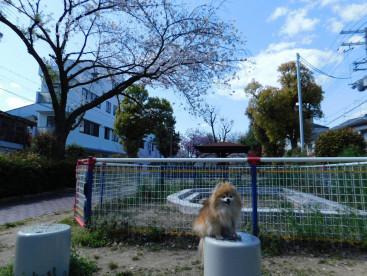 丸い椅子でも休憩🐿️🐿️