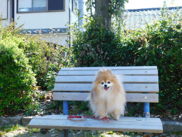 🌼休憩の場所は同じだよ🌼