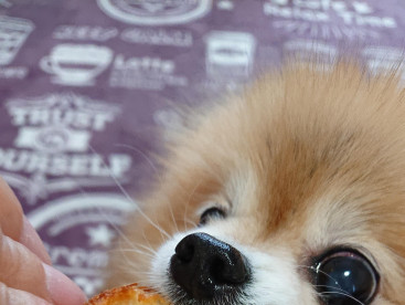 この🍞パン、みゆ用に焼いてもらったから美味しいんだよ💕💕