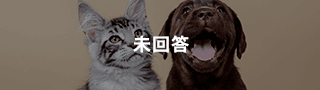 未回答