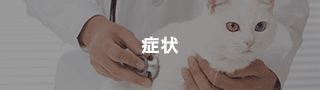 症状