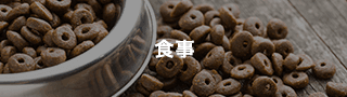 食事