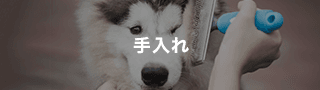 手入れ
