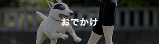 おでかけ