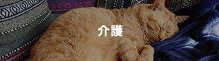 介護