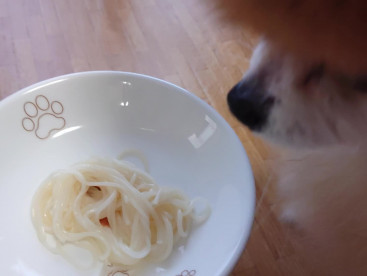 🌴夏だから
お素麺を食べたよ😋😋
体重が2.1になったから
増やさなきゃって言われたよ、