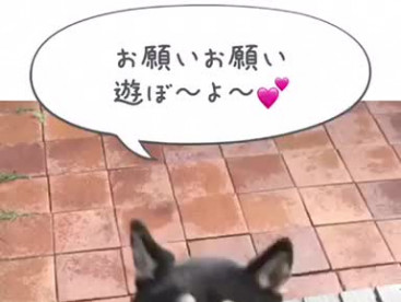 一生懸命お願いします☺️💕