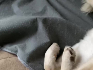 楽しいなぁ〜🍀🩷🍀🩷🍀
ママと僕のお歌の時間🐶🐶