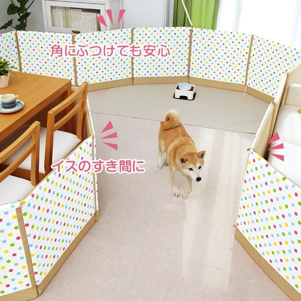 盲目の愛犬を守ろう!目が見えないわんちゃんのためのグッズ4選