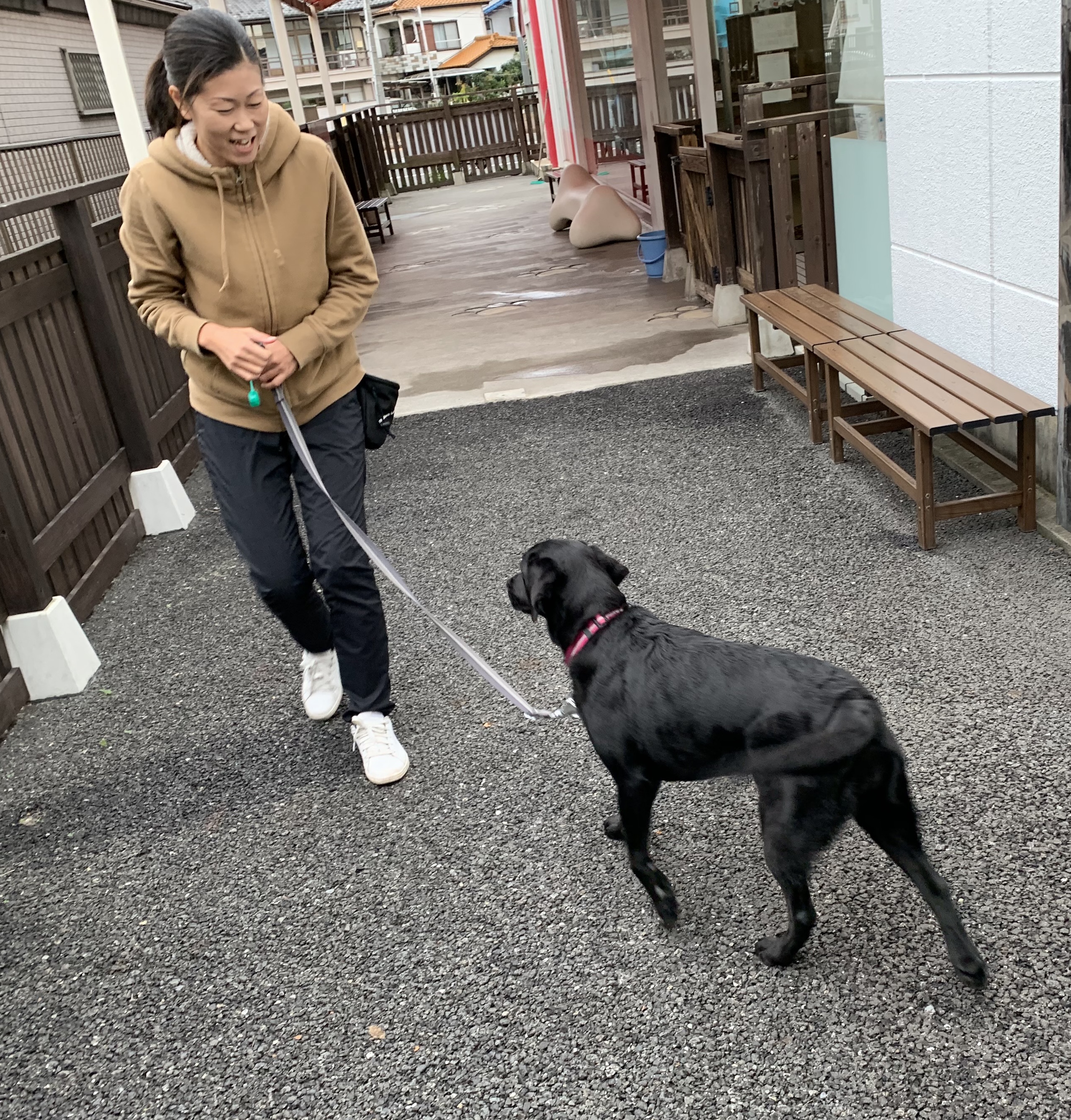 避難所で落ち着いて過ごすためには…?今日からはじめる!ペットの防災対策〜ドッグトレーナー編・後編~