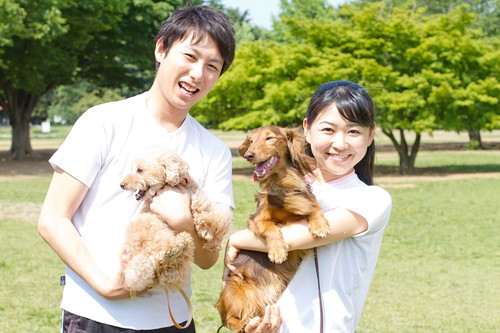 飼い主さんの強い味方!気になる「ペットシッター」その選び方と仕事内容