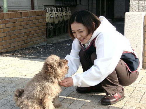 飼い主さんの強い味方!気になる「ペットシッター」その選び方と仕事内容