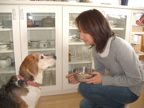 飼い主さんの強い味方!気になる「ペットシッター」その選び方と仕事内容