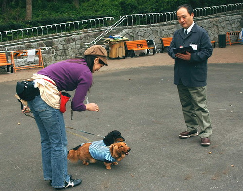 飼い主さんの強い味方!気になる「ペットシッター」その選び方と仕事内容