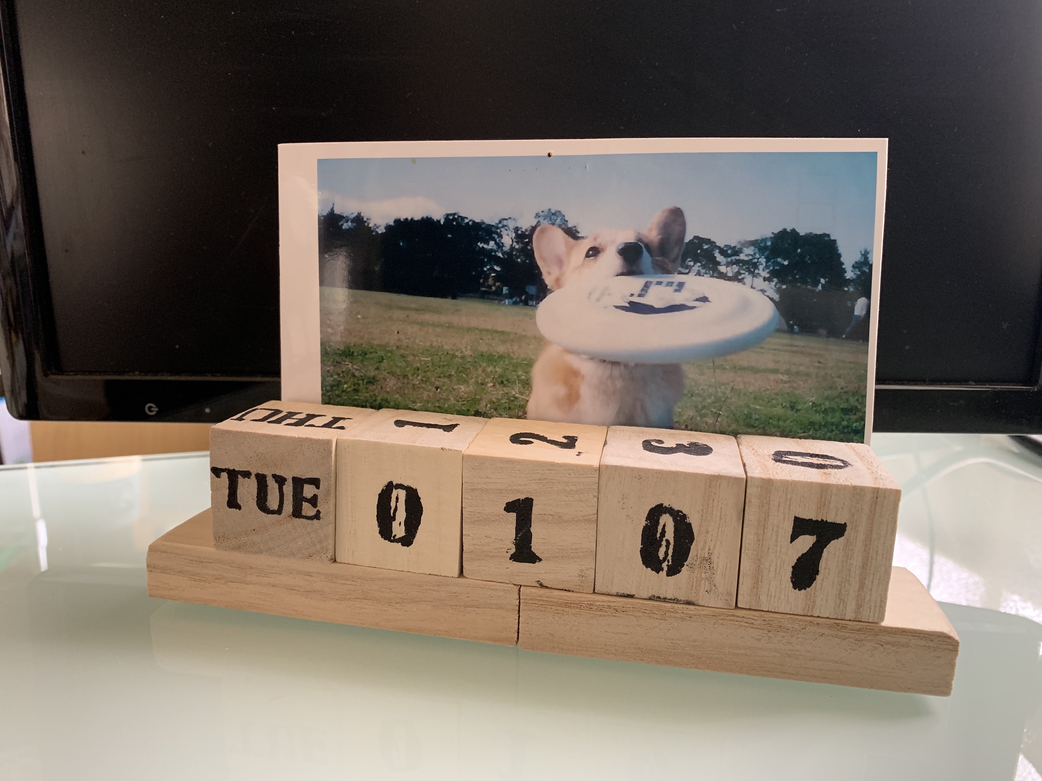 ずっと使える♡ペット写真を飾れる「万年カレンダー」を100均でDIY!