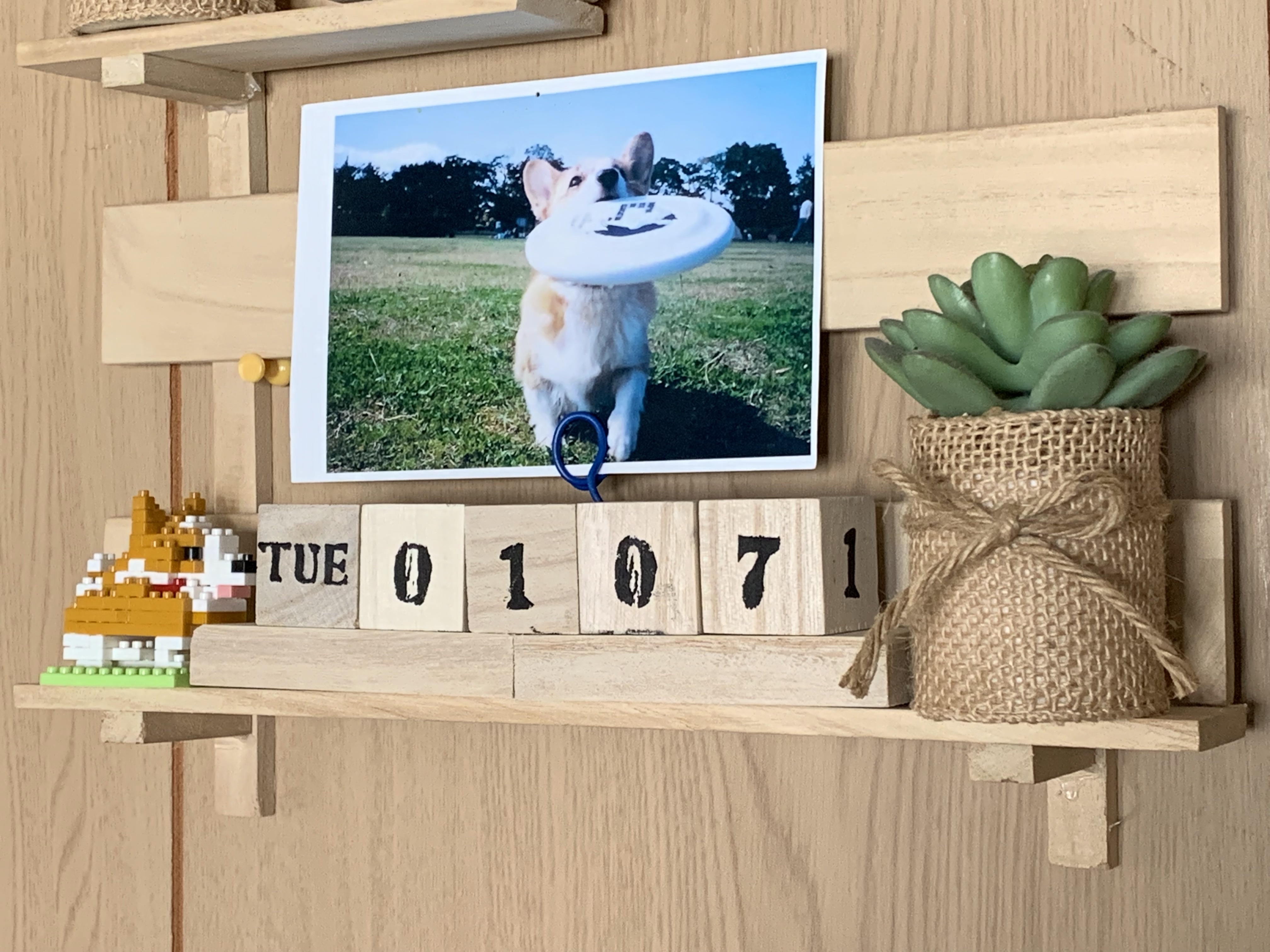 ずっと使える♡ペット写真を飾れる「万年カレンダー」を100均でDIY!