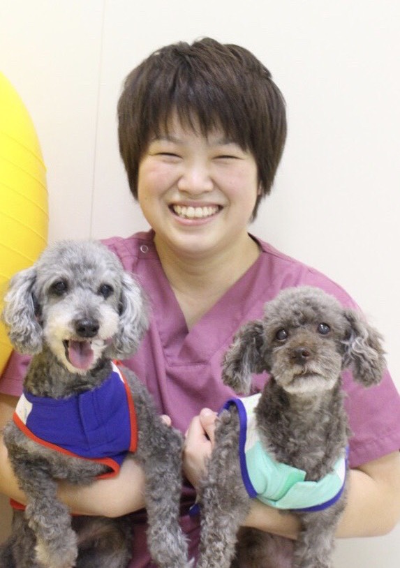 ペットのためのリハビリが受けられる!『アイ動物医療センターつくば アニマルリハビリ&フィットネスセンター』