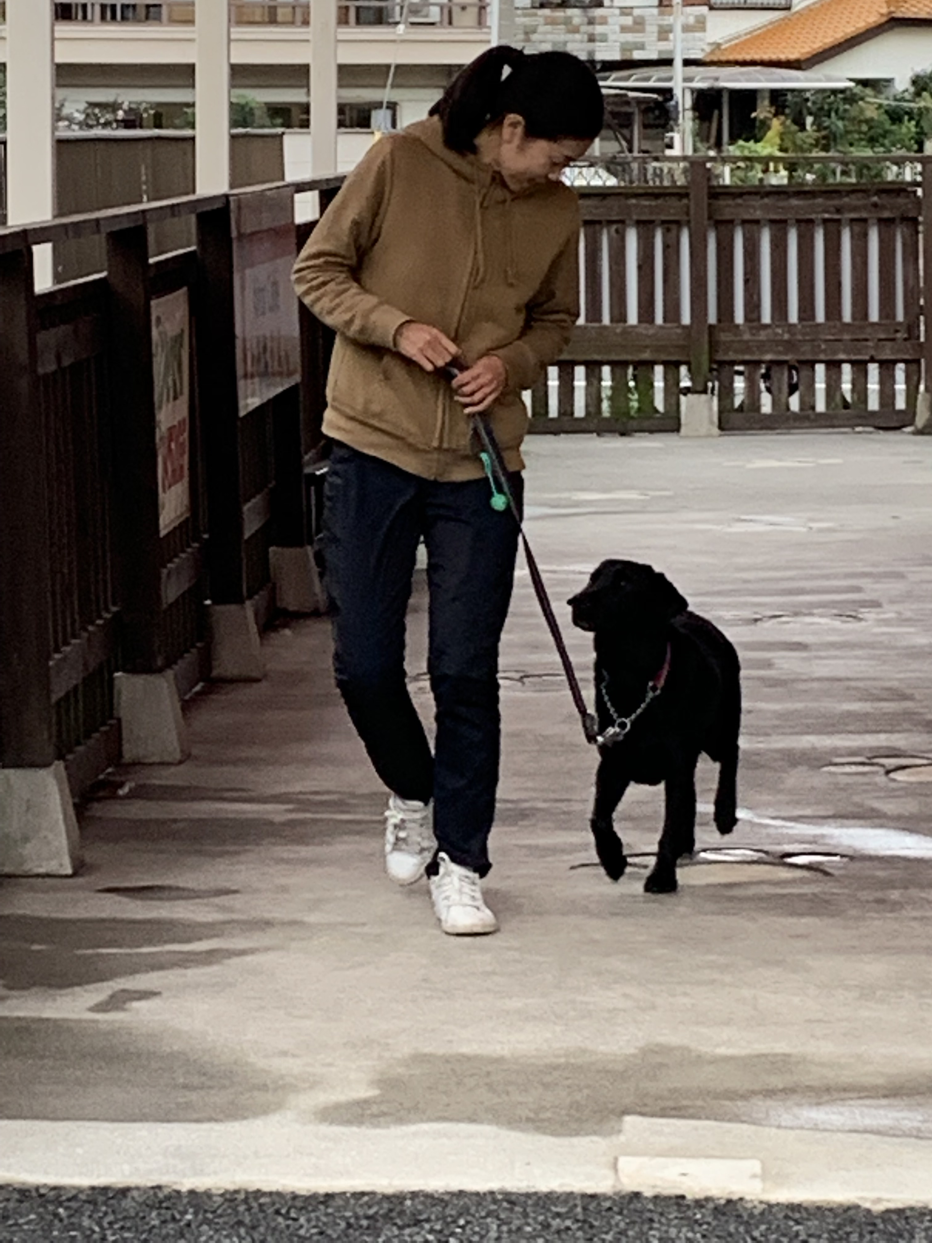 避難所で落ち着いて過ごすためには…?今日からはじめる!ペットの防災対策〜ドッグトレーナー編・後編~