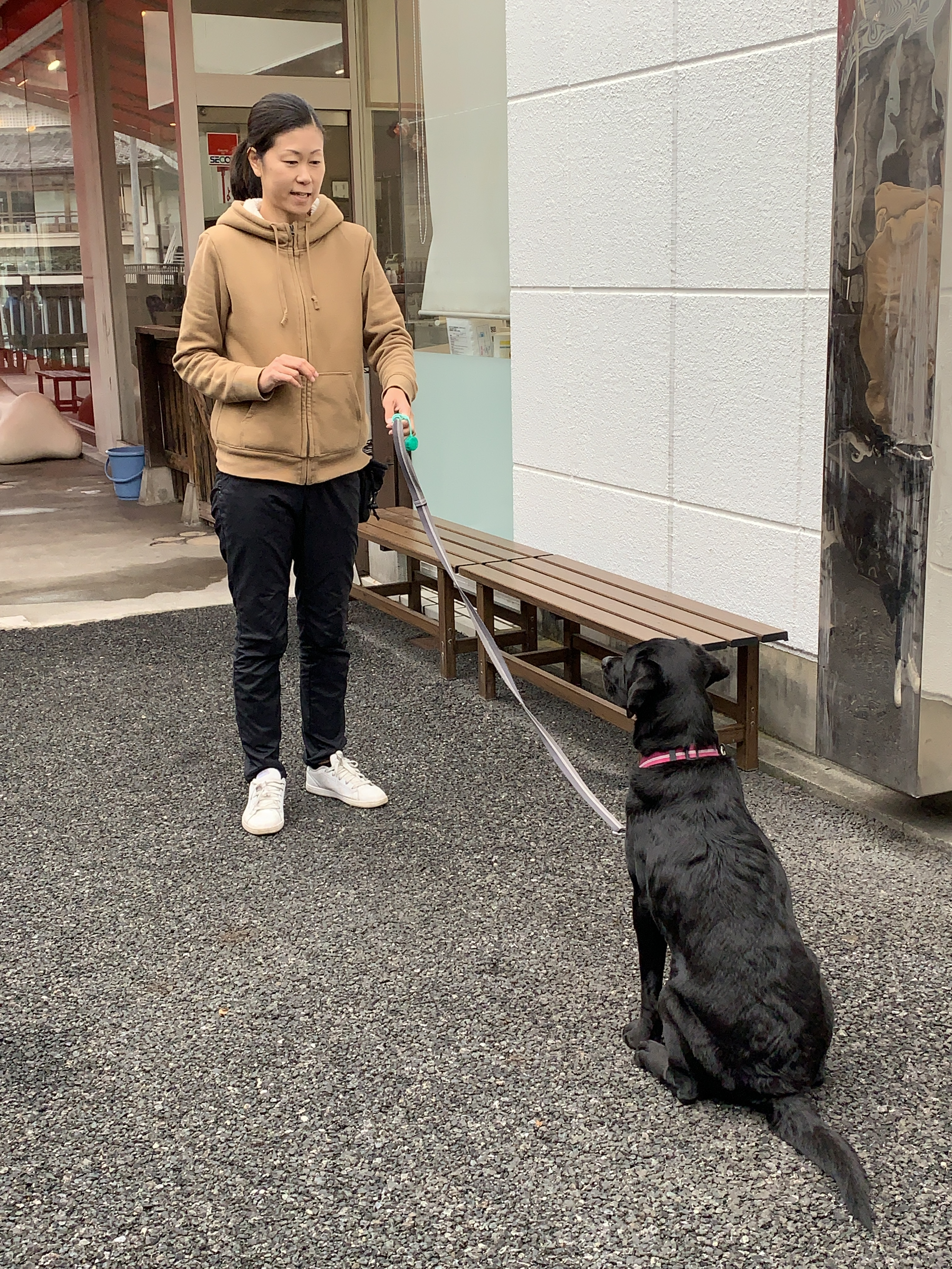 避難所で落ち着いて過ごすためには…？今日からはじめる！ペットの防災対策〜ドッグトレーナー編・後編～