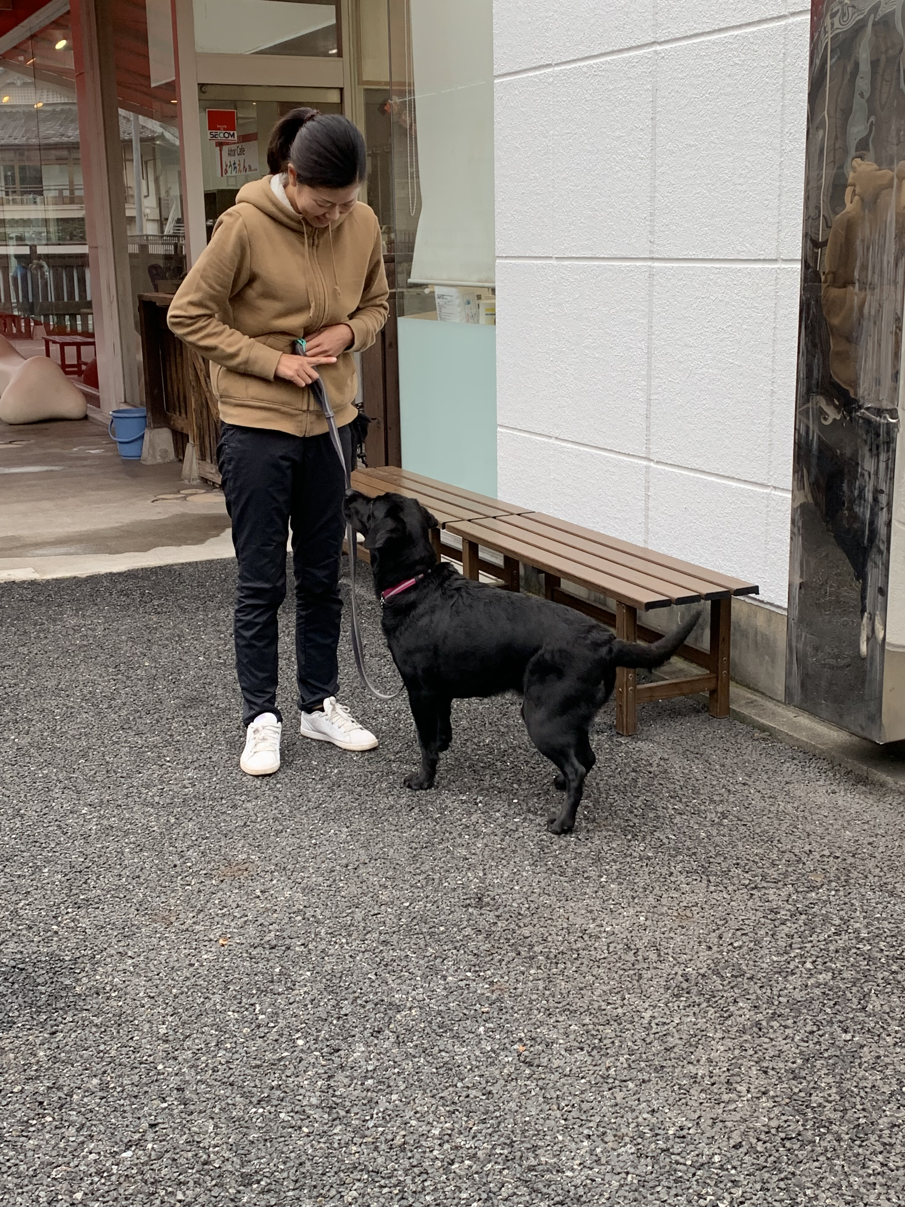 避難所で落ち着いて過ごすためには…?今日からはじめる!ペットの防災対策〜ドッグトレーナー編・後編~
