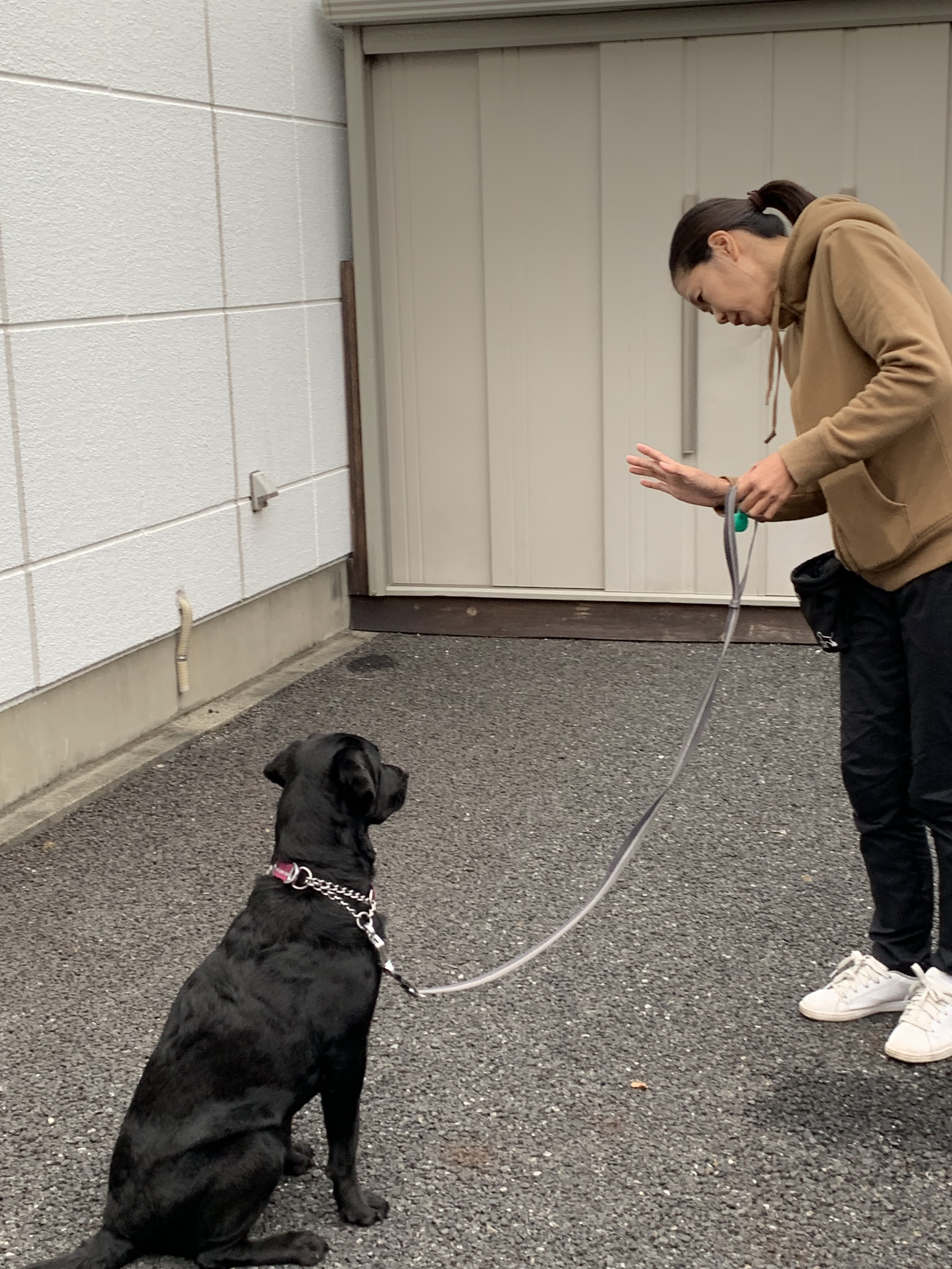 避難所で落ち着いて過ごすためには…?今日からはじめる!ペットの防災対策〜ドッグトレーナー編・後編~