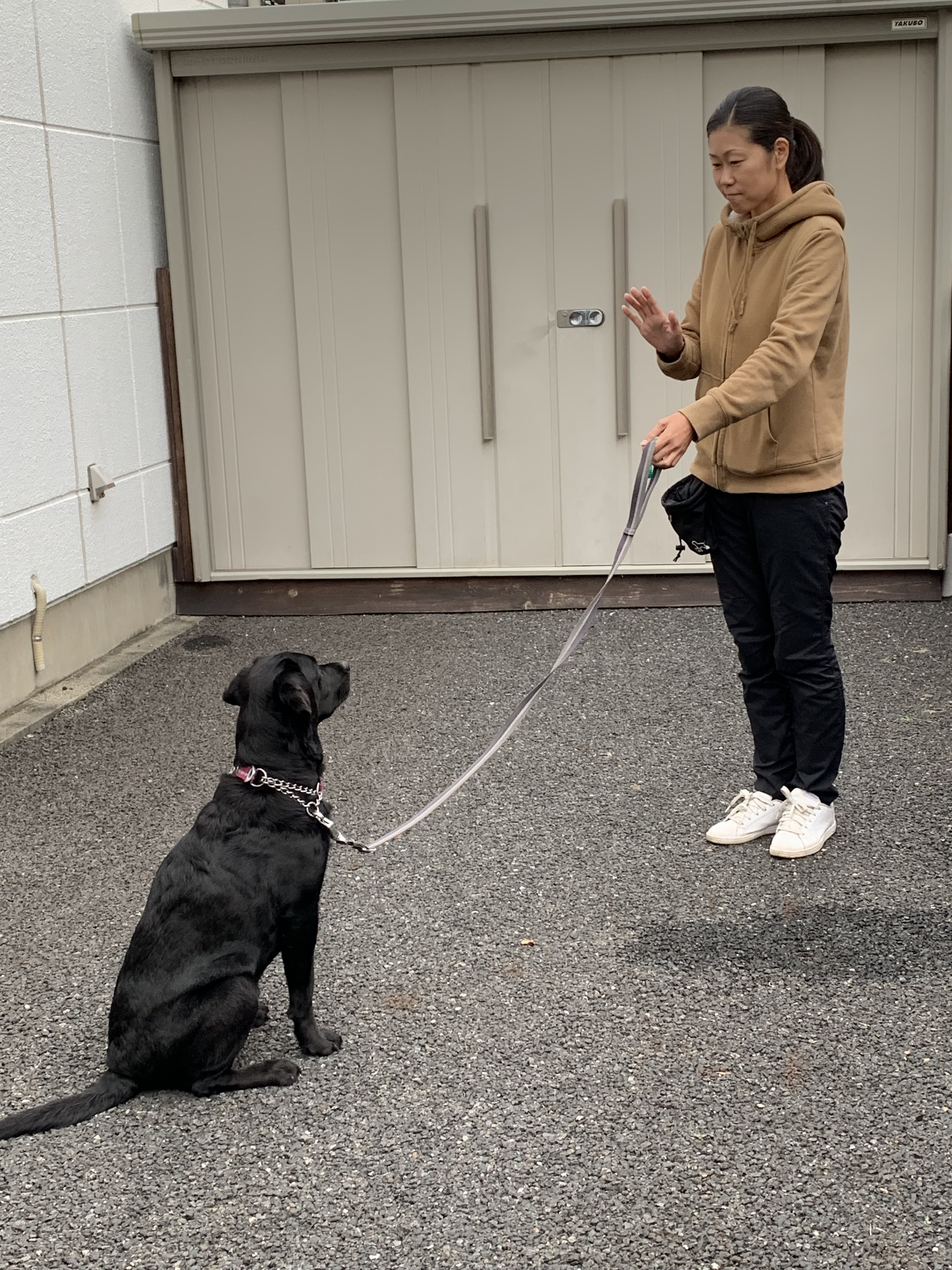 避難所で落ち着いて過ごすためには…?今日からはじめる!ペットの防災対策〜ドッグトレーナー編・後編~