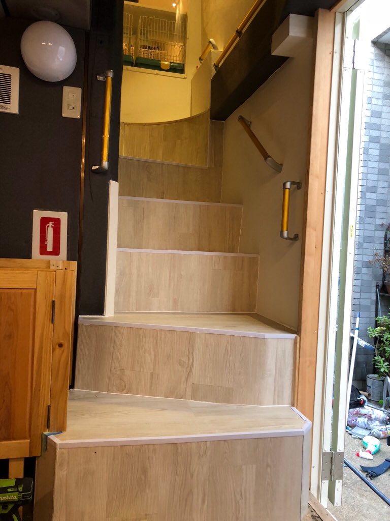 まるで猫の幼稚園!2階建てバスを改装した保護猫カフェ『ひだまり号』の取り組み