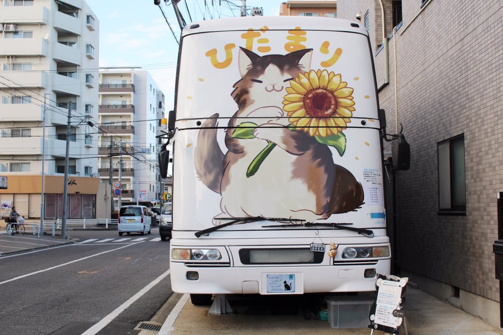 まるで猫の幼稚園!2階建てバスを改装した保護猫カフェ『ひだまり号』の取り組み
