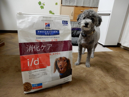 どれを選べばいい?「ドッグフード」の選び方&おすすめ商品
