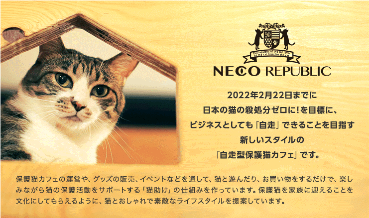 選べる「ねこまんま定食」が人気!保護猫カフェが運営する『さび食堂』がオープン