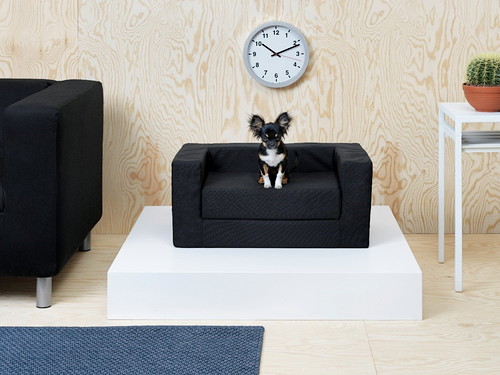 おしゃれ好きな愛犬&愛猫も納得!?『IKEA(イケア)』のペット用品5選