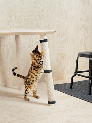 おしゃれ好きな愛犬&愛猫も納得!?『IKEA(イケア)』のペット用品5選