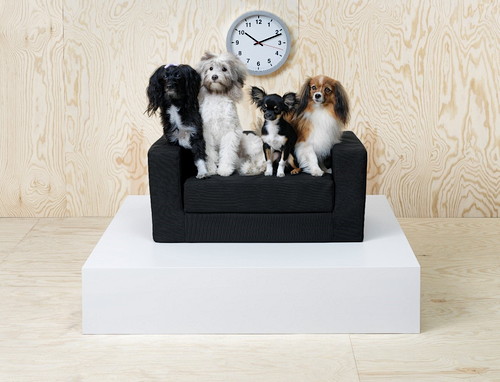 おしゃれ好きな愛犬&愛猫も納得!?『IKEA(イケア)』のペット用品5選